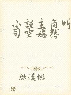 小说主角叫叶凡司空嫣然