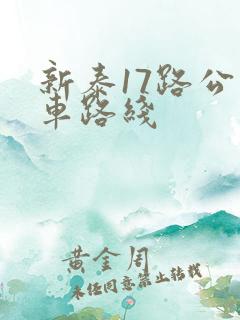 新泰17路公交车路线