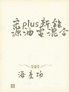 宋plus新能源油电混合