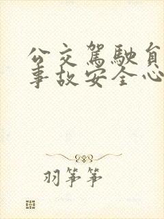 公交驾驶员观看事故安全心得体会