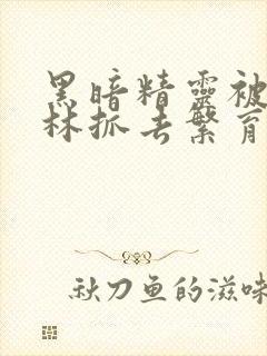 黑暗精灵被哥布林抓去繁育