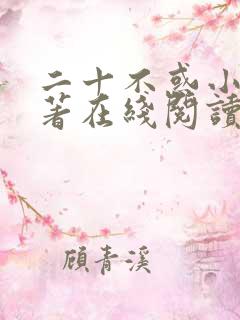 二十不惑小说原著在线阅读