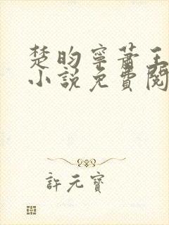 楚昀宁萧王穿越小说免费阅读