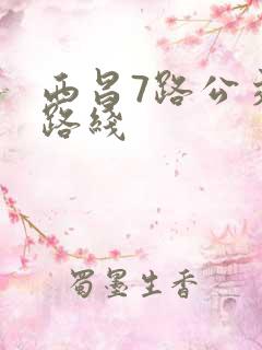 西昌7路公交车路线