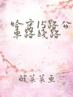哈密15路公交车路线路