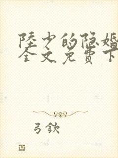陆少的隐婚罪妻全文免费下载