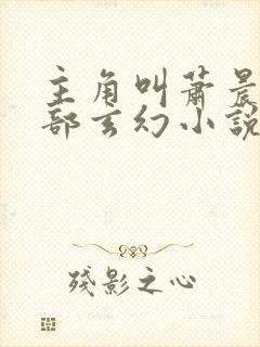 主角叫萧晨的全部玄幻小说