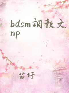 bdsm调教文np