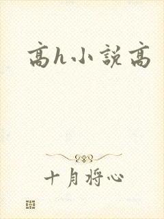 高h小说高 高h小说高