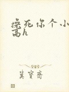 操死你个小骚货高h
