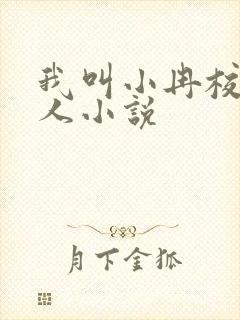 我叫小冉校花黑人小说