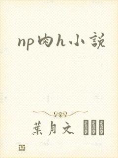 np肉h小说