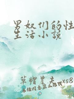 男奴们的性调教生活小说