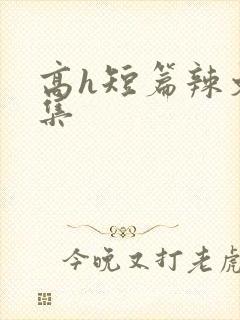 高h短篇辣文合集