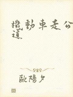 机动车走公交车道