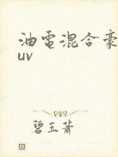 油电混合豪华suv