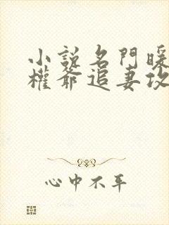 小说名门暖婚之权爷追妻攻略