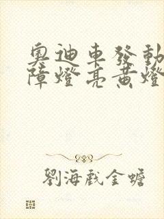 奥迪车发动机故障灯亮黄灯了应该怎么办