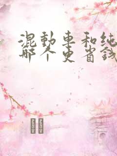 混动车和纯电车哪个更省钱