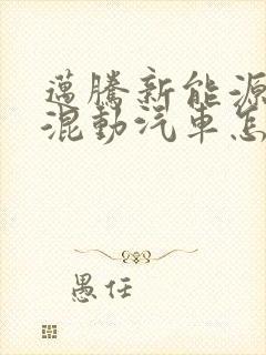 迈腾新能源油电混动汽车怎么样