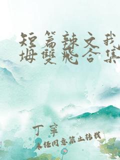 短篇辣文我和岳坶双飞合集