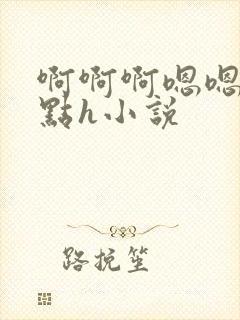 啊啊啊嗯嗯嗯轻点h小说