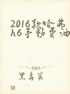 2016款哈弗h6手动费油吗