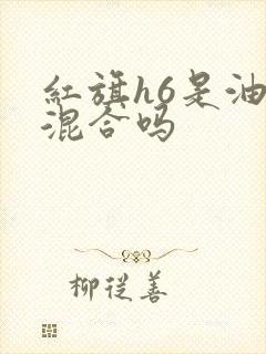 红旗h6是油电混合吗 红旗h6是油电混合吗