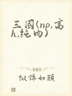 三国(np,高h,纯肉)