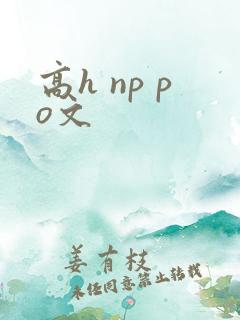 高h np po文