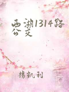 西湖1314路公交