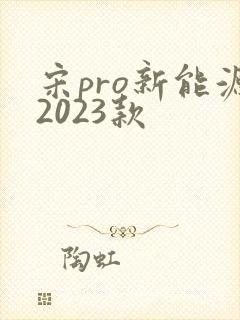 宋pro新能源2023款