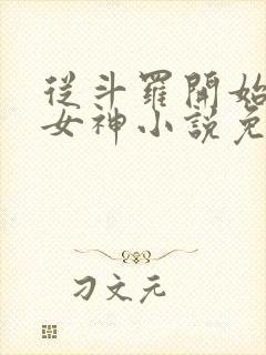 从斗罗开始俘获女神小说免费完整版txt下载