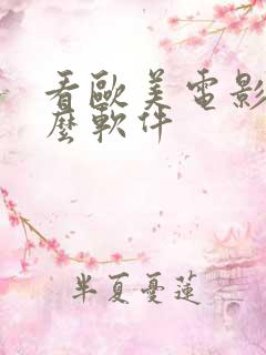 看欧美电影下什么软件