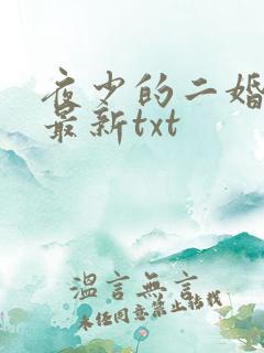 夜少的二婚新妻最新txt