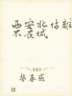 西安北站离大唐不夜城