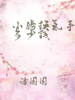 小肠换气手术要多少钱