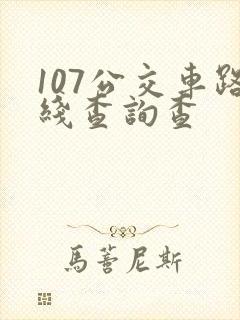 107公交车路线查询查