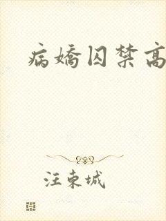 病娇囚禁高h