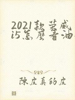 2021款荣威i5怎么看油耗 2021款荣威i5怎么看油耗