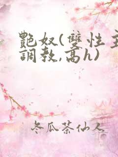 艳奴(双性主奴调教,高h)