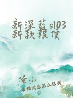 新深蓝sl03新款报价