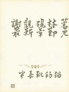 谢观砚林茉小说最新章节免费阅读全文