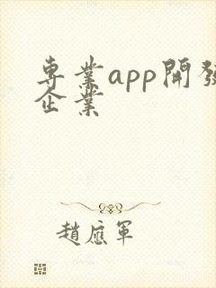 专业app开发企业