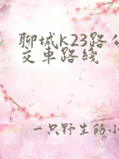 聊城k23路公交车路线