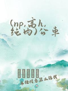 (np,高h,纯肉)公车
