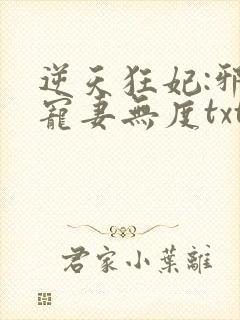 逆天狂妃:邪王宠妻无度txt