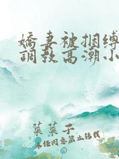 娇妻被捆缚羞耻调教高潮小说