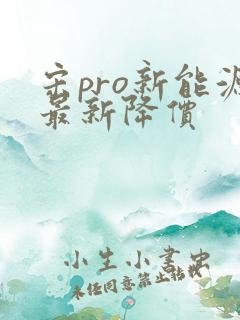 宋pro新能源最新降价
