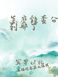 怎么能查公交车到哪了